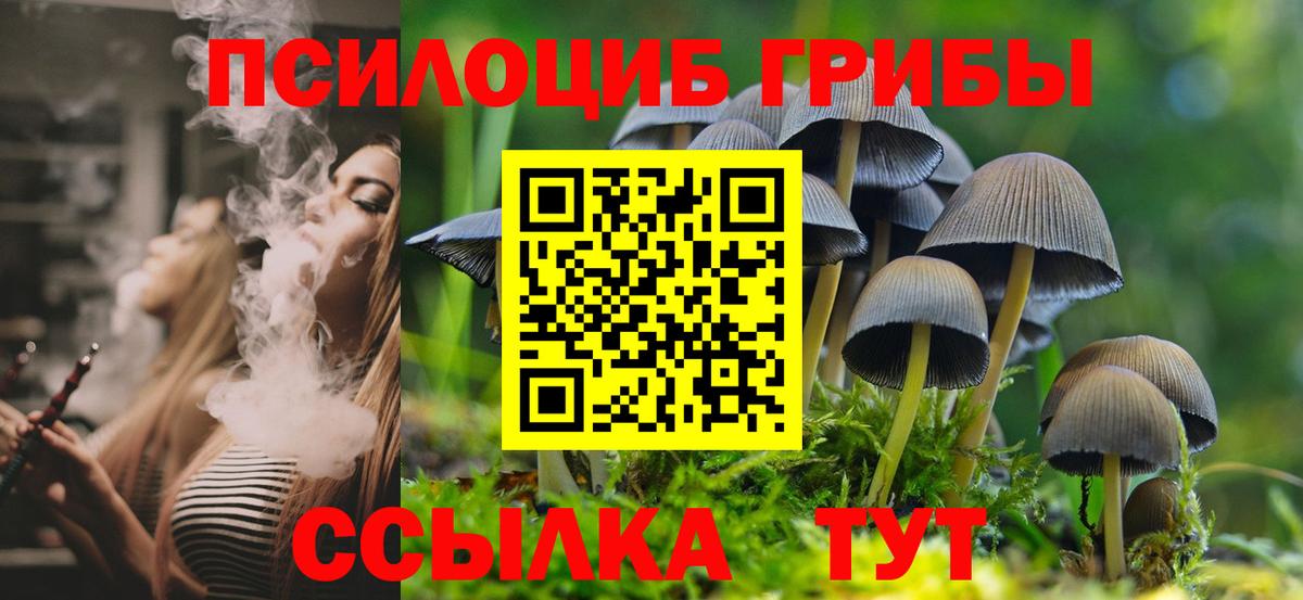 Усть-Лабинск  Псилоцибиновые грибы мухоморы  Вход с VPN 